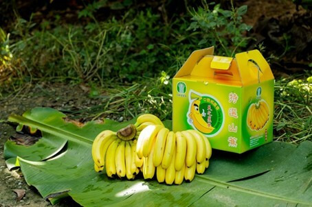 【推廣品無供下單】【中寮農會-天之蕉子】香蕉