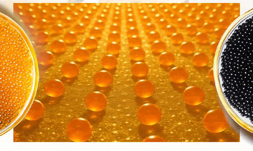 landing page promotion photo