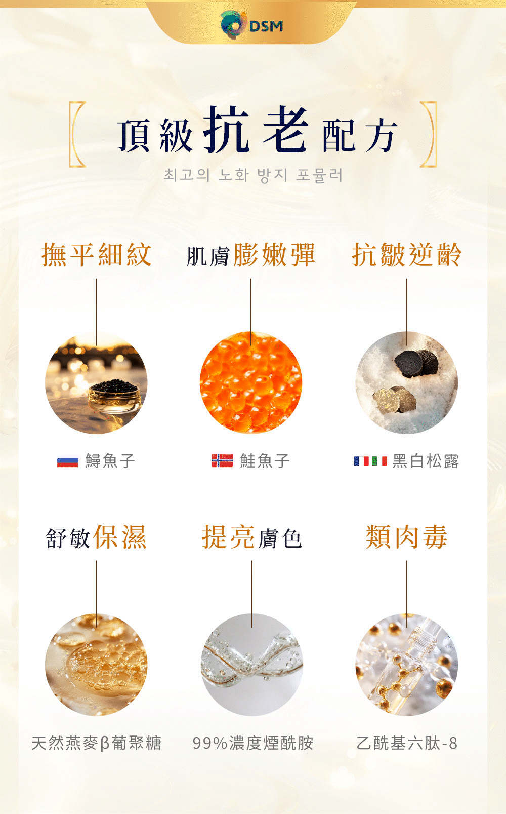 landing page promotion photo