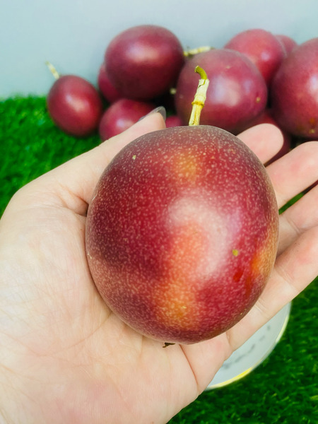 埔里網室產銷履歷認證百香果