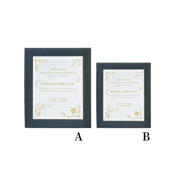 CHU-04116木質獎牌