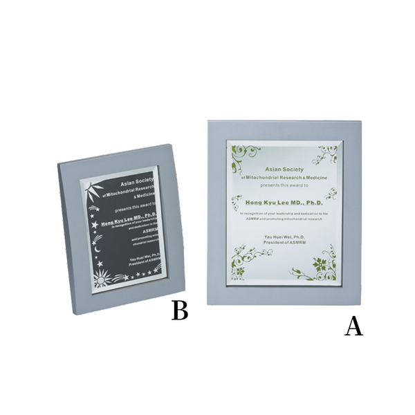 CHU-04120木質獎牌