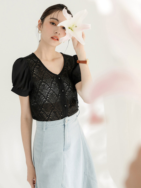 Sheer Lace Puff Sleeve Blouse