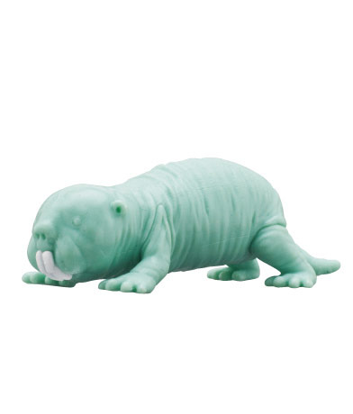 product_gallery_image