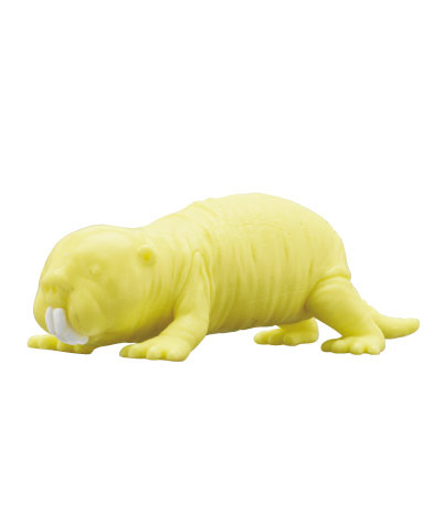 product_gallery_image