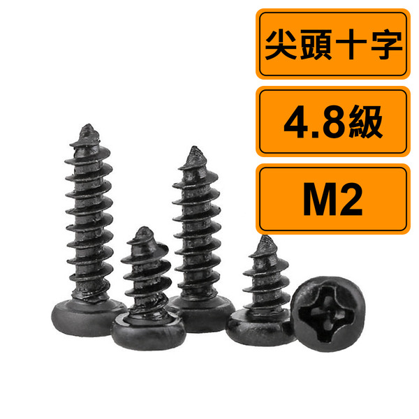 尖頭十字 M2x5 公制 10支 黑化處理 4.8級