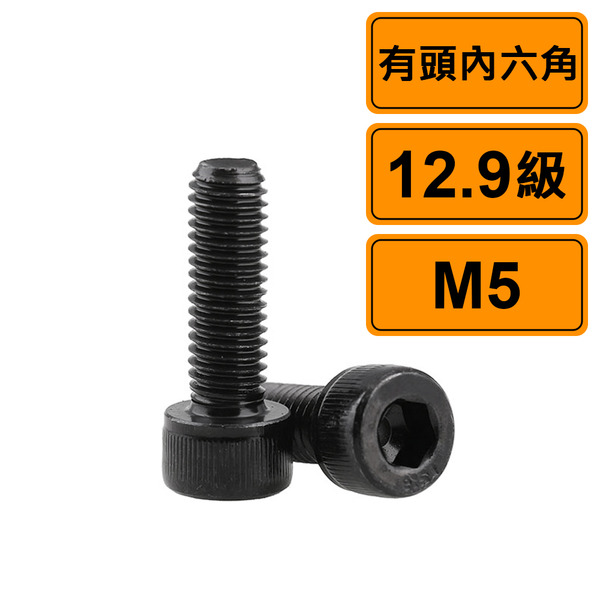 有頭內六角 M5x30 公制10支 黑化12.9級