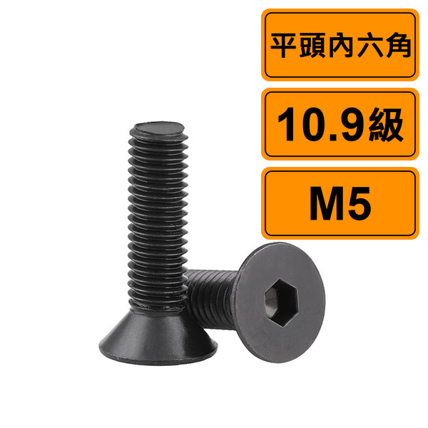 平頭內六角 M5x8 公制10支 黑化10.9級