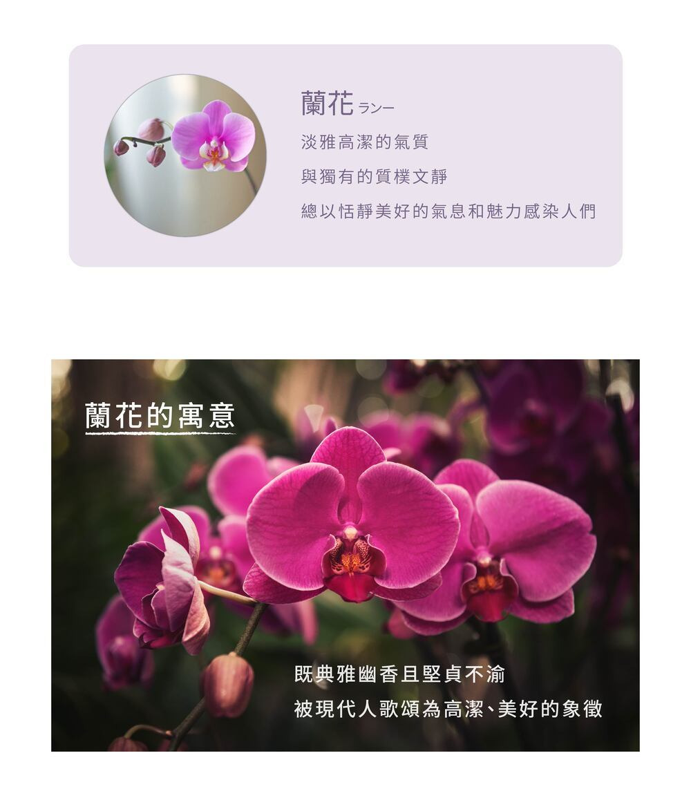 台灣之光 蝴蝶蘭蘭花皂