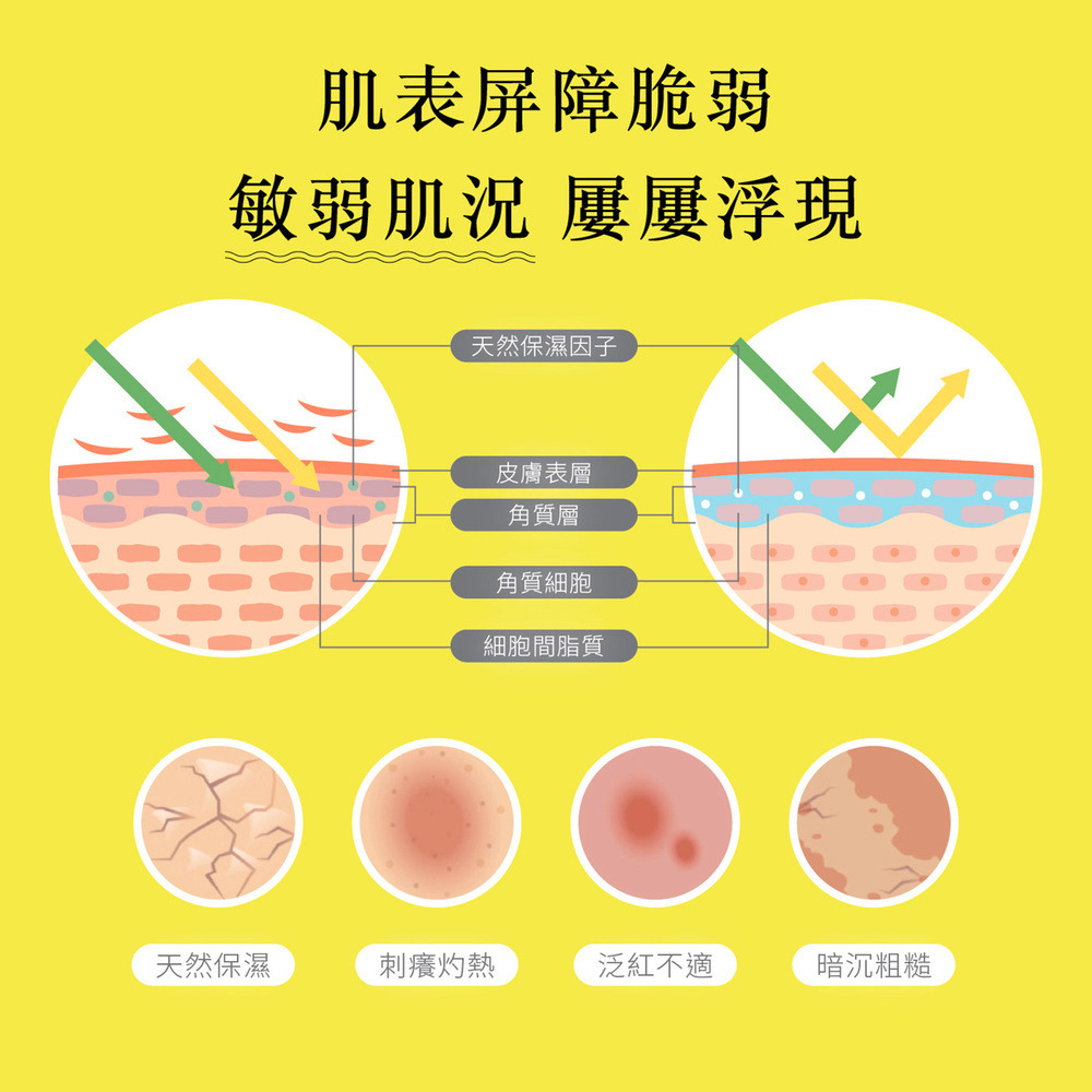 Dr.HUANG舒緩乳霜