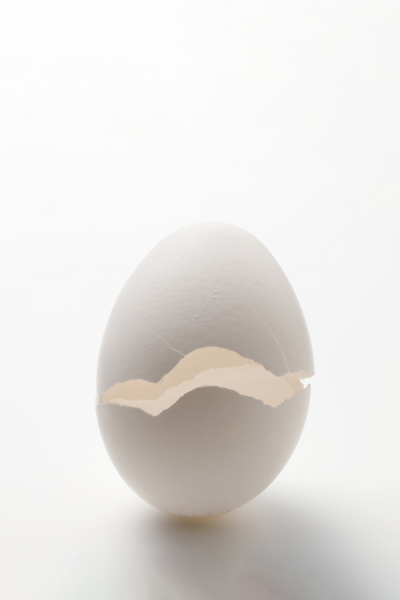 以雞蛋蛋殼原料製造高品質檸檬酸鈣