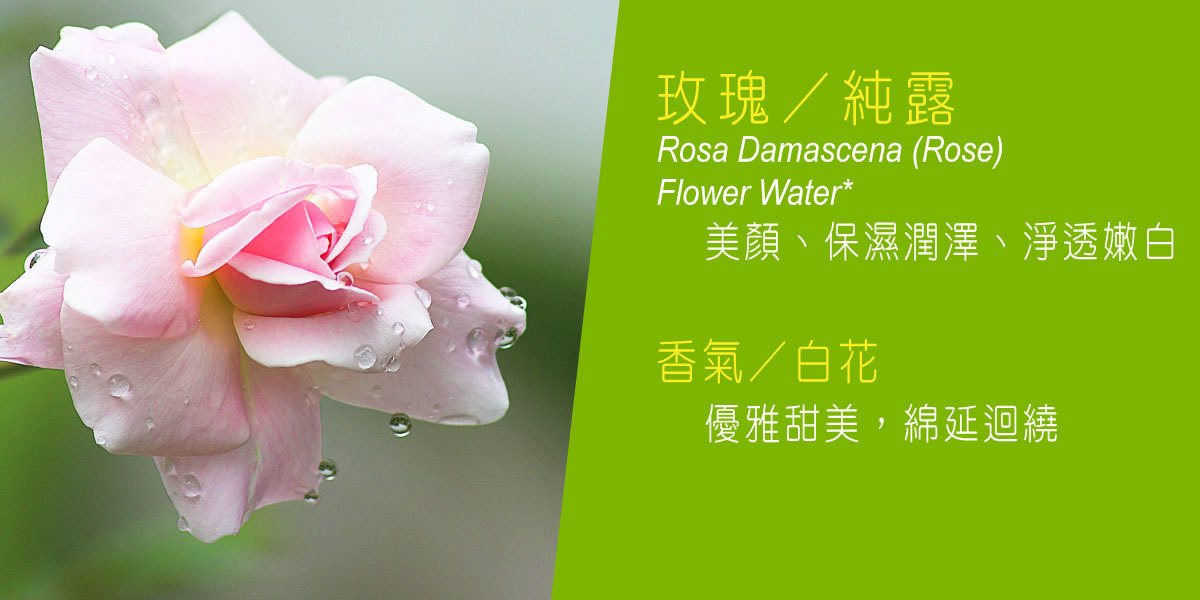 4mula有機保養玫瑰花露-美顏-保濕潤澤-淨透嫩白