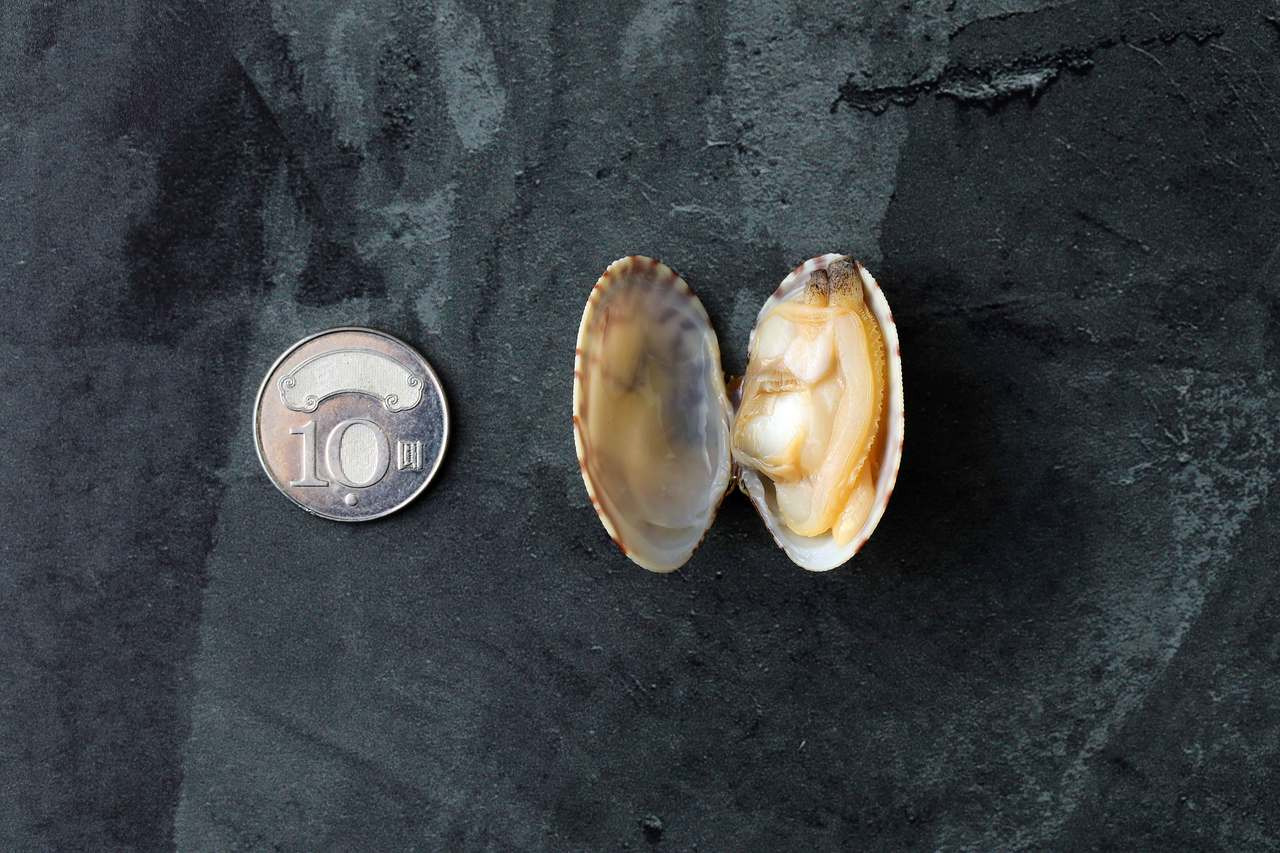 極鮮熟凍海瓜子 1包 依時海陸市集 Chere Here