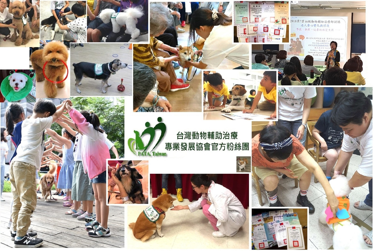 立適得 台灣動物輔助治療專業發展協會