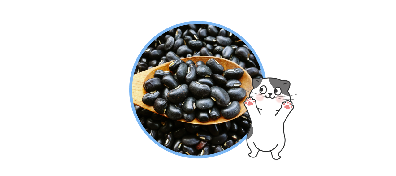 配方二：黑豆種皮多酚，使眼睛明亮，幫助視力健康