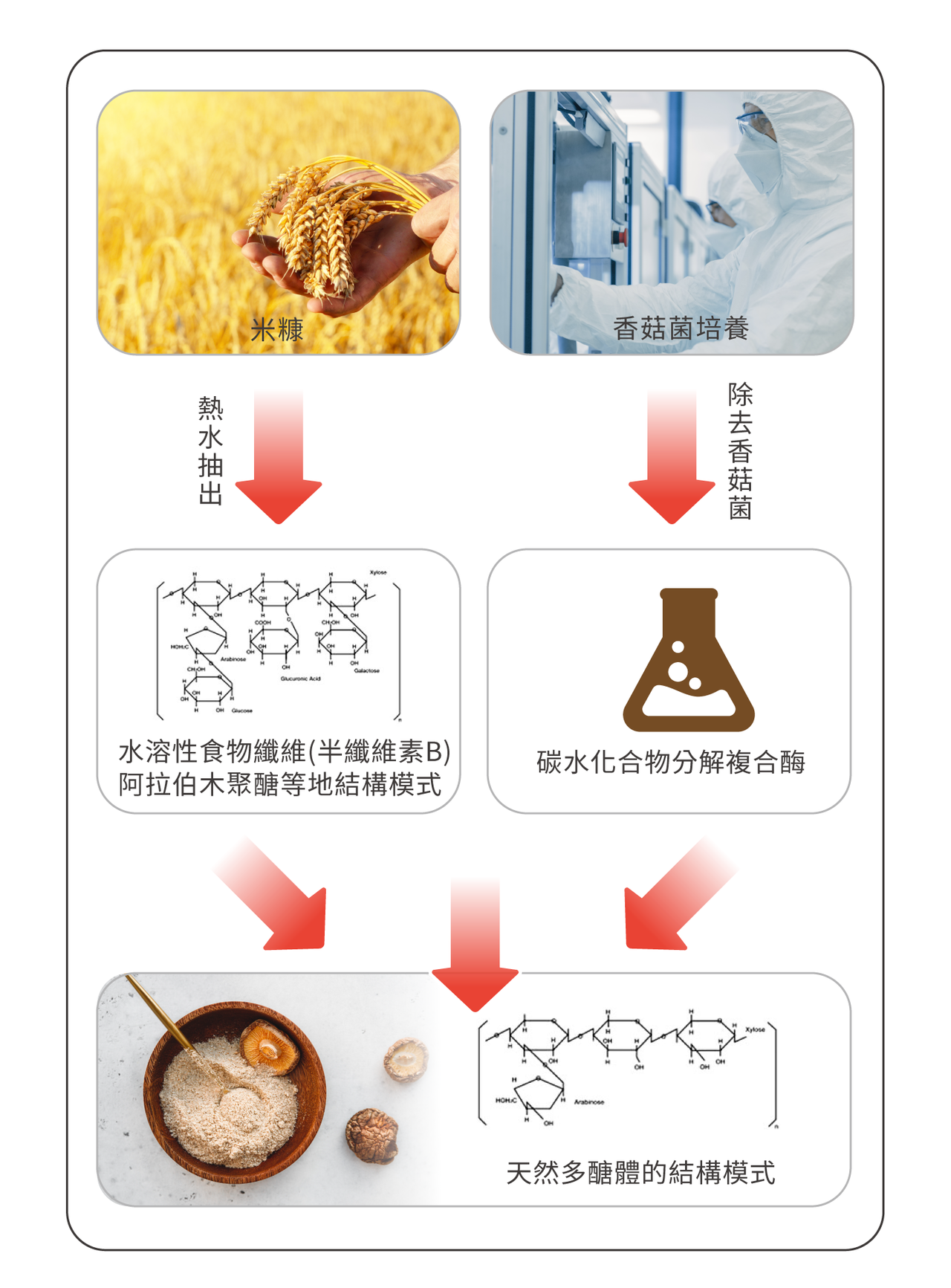 米蕈多醣體的獨特製作方法