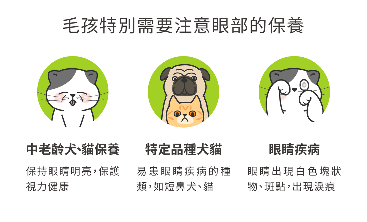 特別需要注意眼部保養的毛孩族群：中老齡犬、貓保養/特定品種犬貓/眼睛疾病