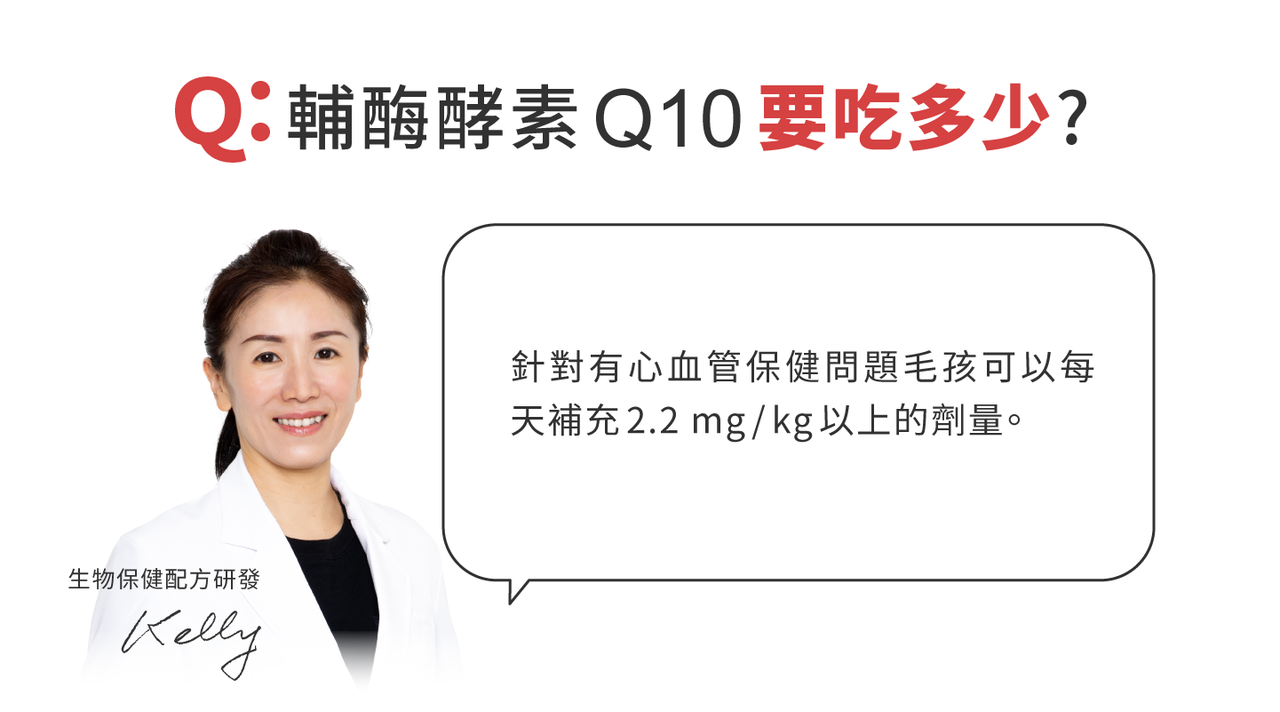 輔酶酵素 Q10 要吃多少？針對有心血管保健問題毛孩可以每天補充 2.2 mg/kg以上的劑量