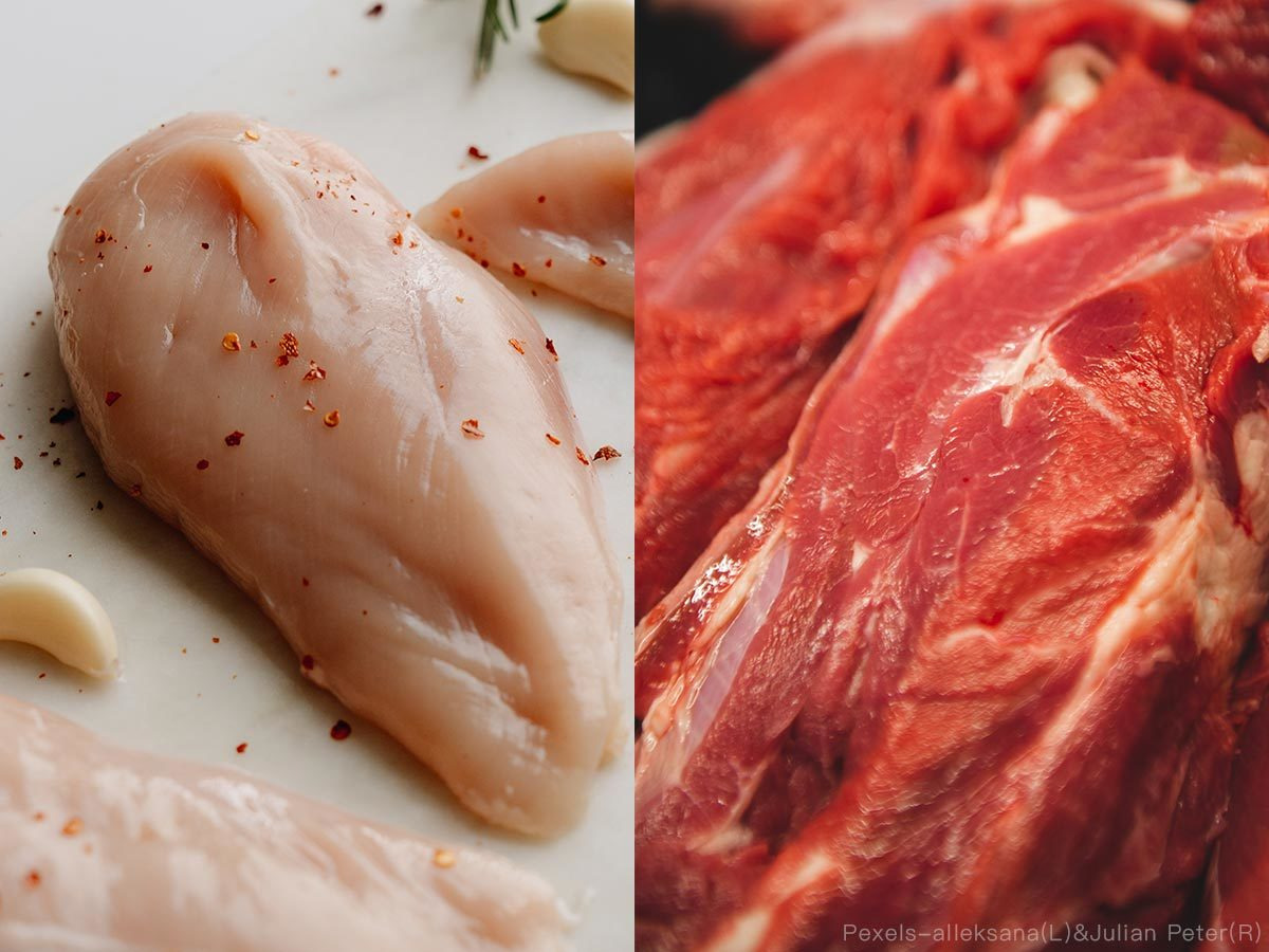 區分紅肉與白肉