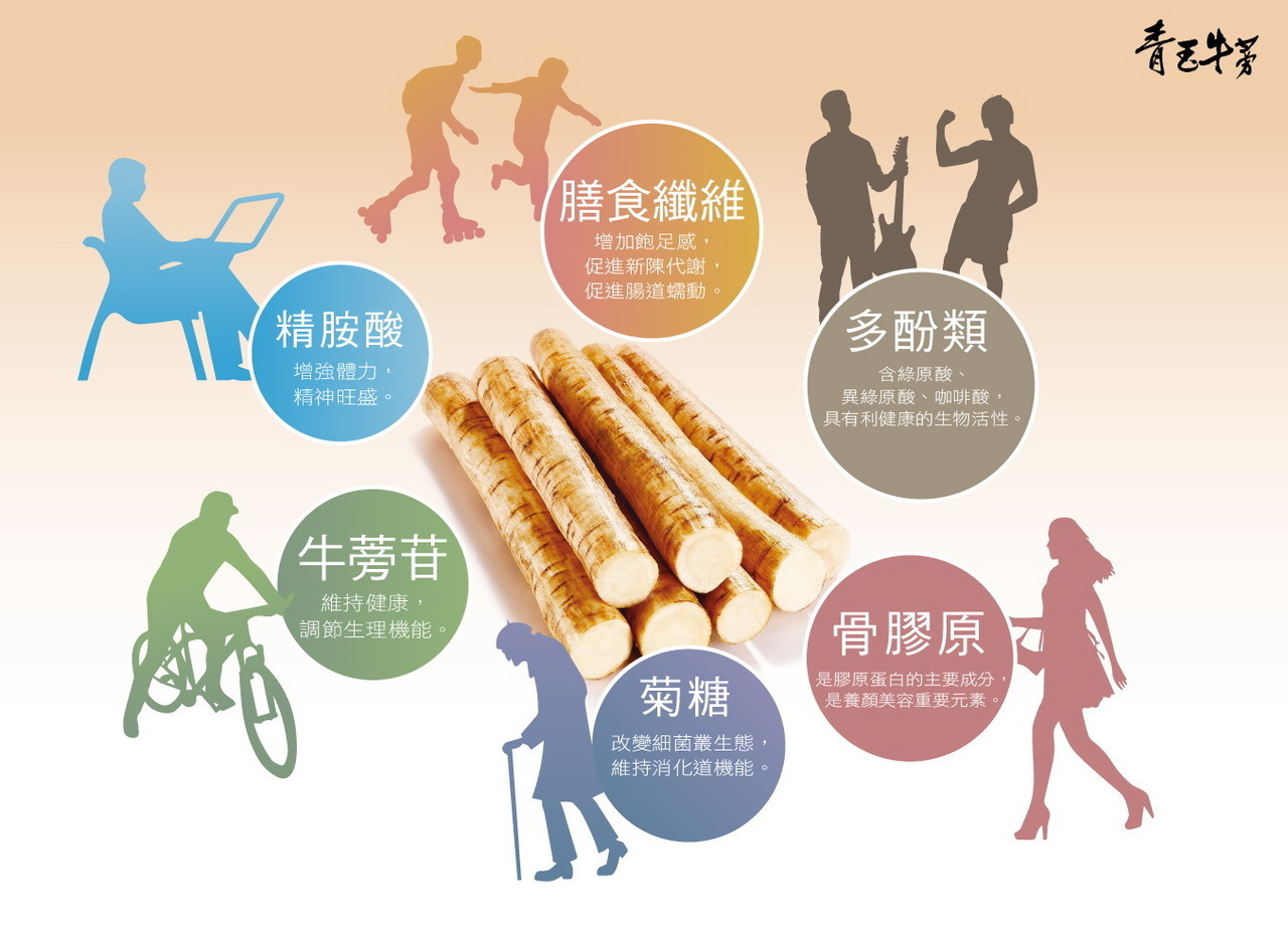 原味牛蒡茶片 青玉牛蒡茶