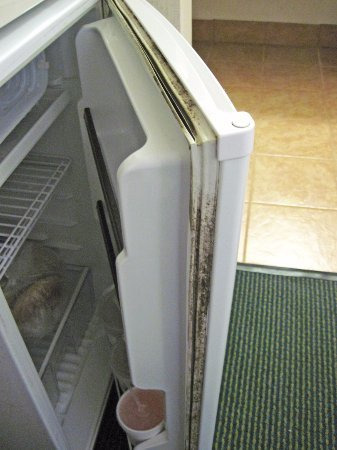 橡膠發霉的冰箱門