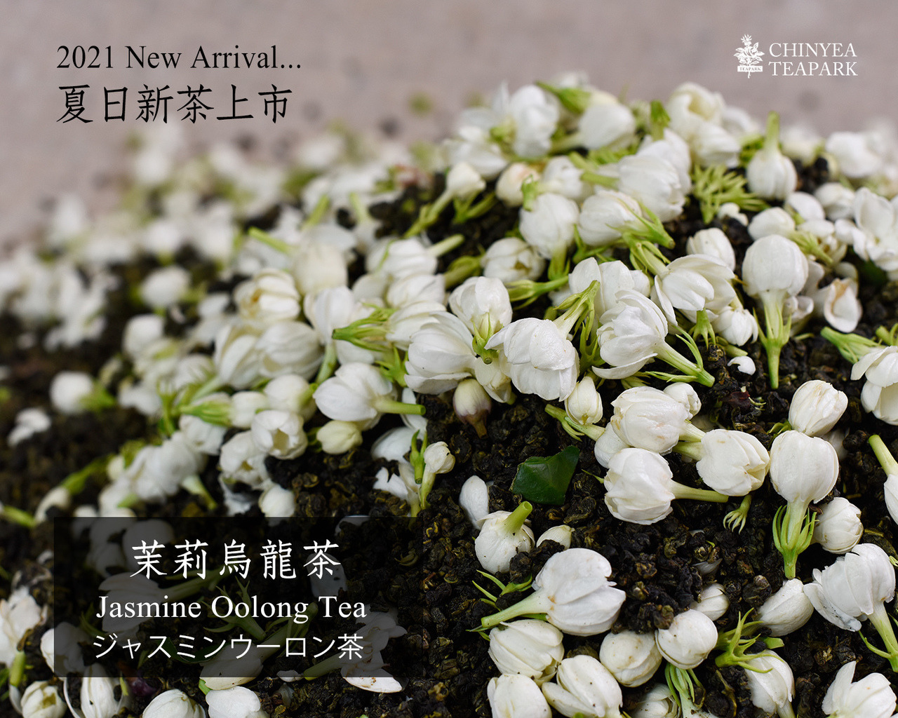 茉莉烏龍茶 爽やかなジャスミンの香り 大人気台湾花茶 ショップ Chinyea Teapark 沁意茶苑 お茶 Pinkoi