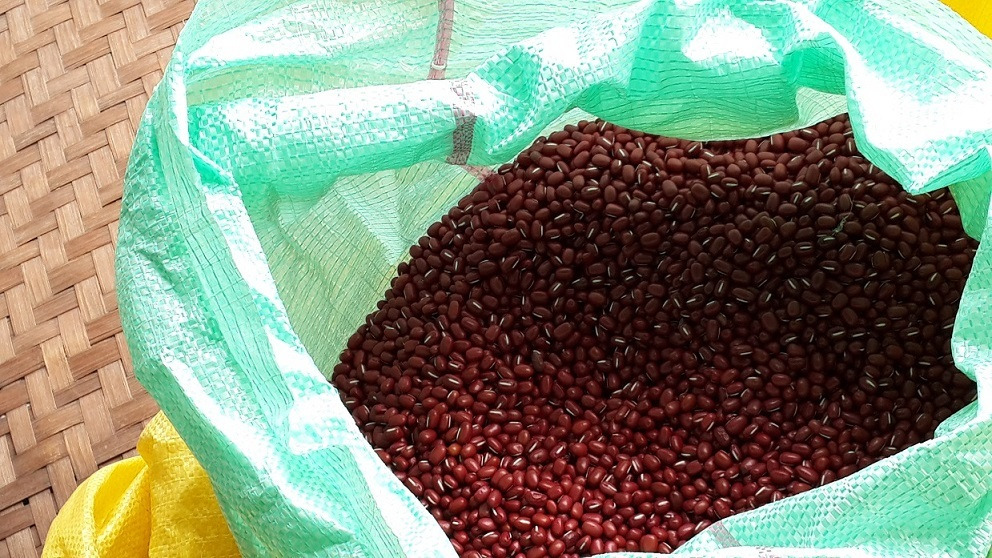 紅豆原料照片