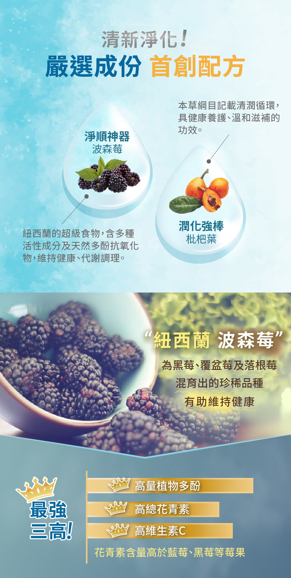 淨排2 5 14包 入 寶齡電商官網