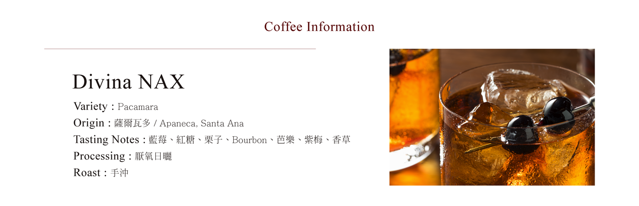 CoffeaCirculor,Divina NAX,薩爾瓦多,厭氧日曬,處理法,手沖咖啡豆,單品咖啡豆,精品咖啡豆-產區、風味介紹