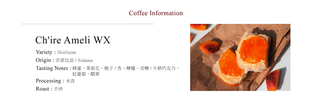 CoffeaCirculor,Ch'ire Ameli WX 衣索比亞,水洗,處理法,手沖咖啡豆,單品咖啡豆,精品咖啡豆-產區、風味介紹