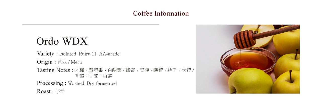 CoffeaCirculor,KENYA Ordo Isolated WDX 肯亞,水洗乾燥發酵,處理法,手沖咖啡豆,單品咖啡豆,精品咖啡豆-產區、風味介紹