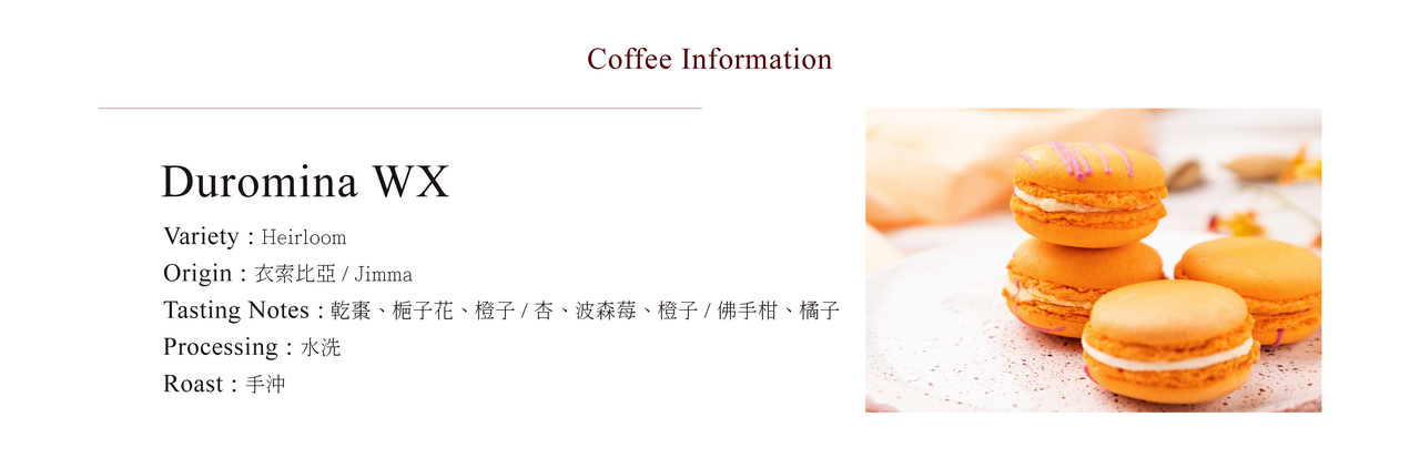 CoffeaCirculor,Duromina WX 衣索比亞 - 水洗,處理法,手沖咖啡豆,單品咖啡豆,精品咖啡豆-產區、風味介紹