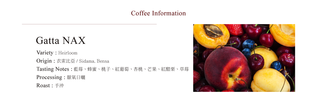 CoffeaCirculor,Gatta NAX,衣索比亞,厭氧日曬,處理法,手沖咖啡豆,單品咖啡豆,精品咖啡豆-產區、風味介紹