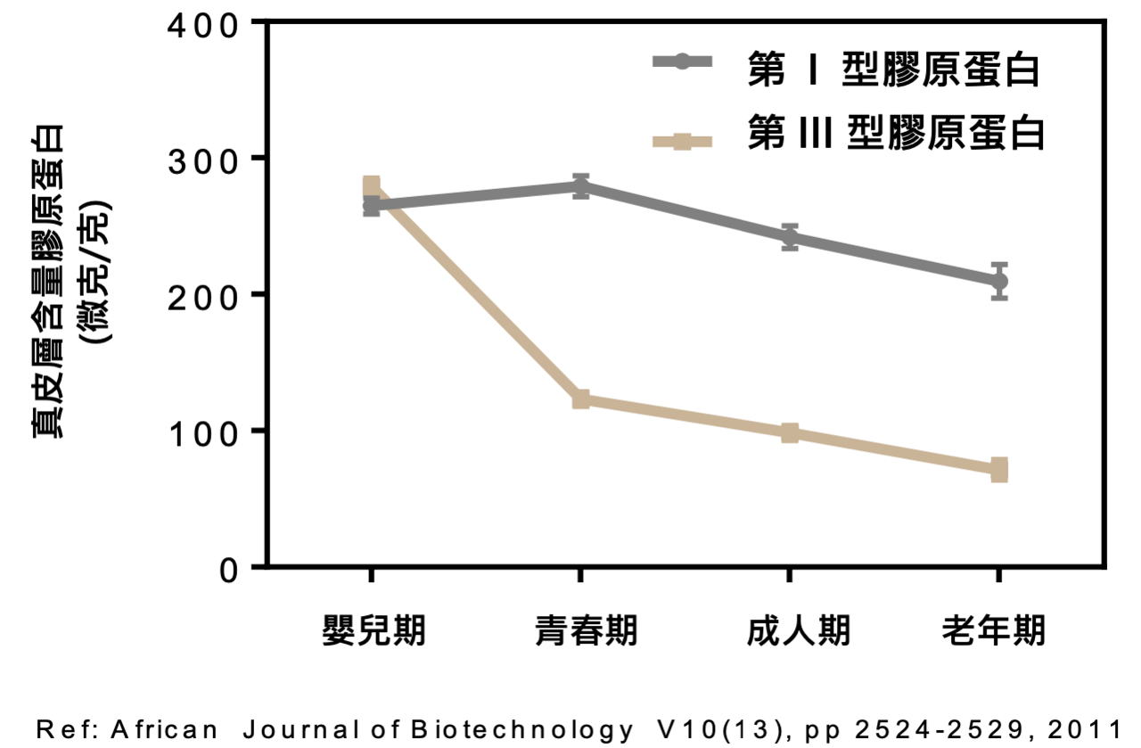 圖A.第I型膠原蛋白與第III型膠原蛋白之年齡含量比率
