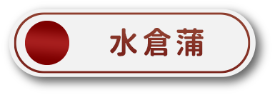 水倉蒲