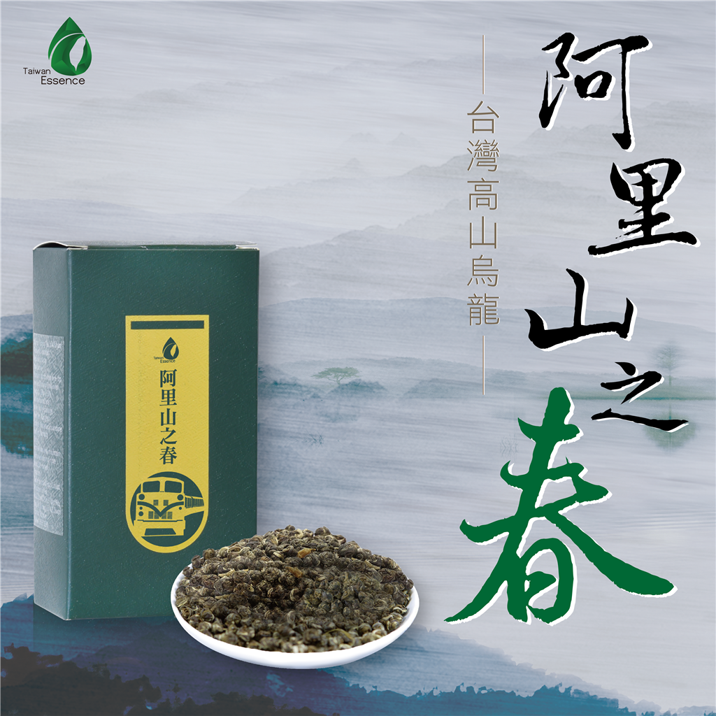 阿里山之春-烏龍茶茶葉