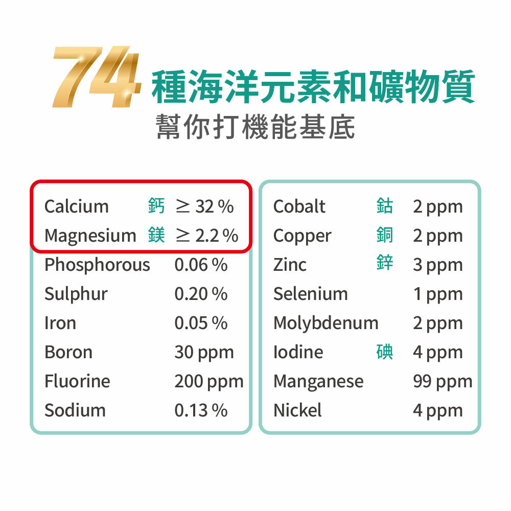 鎂鋅鈣D錠 海洋元素 礦物質