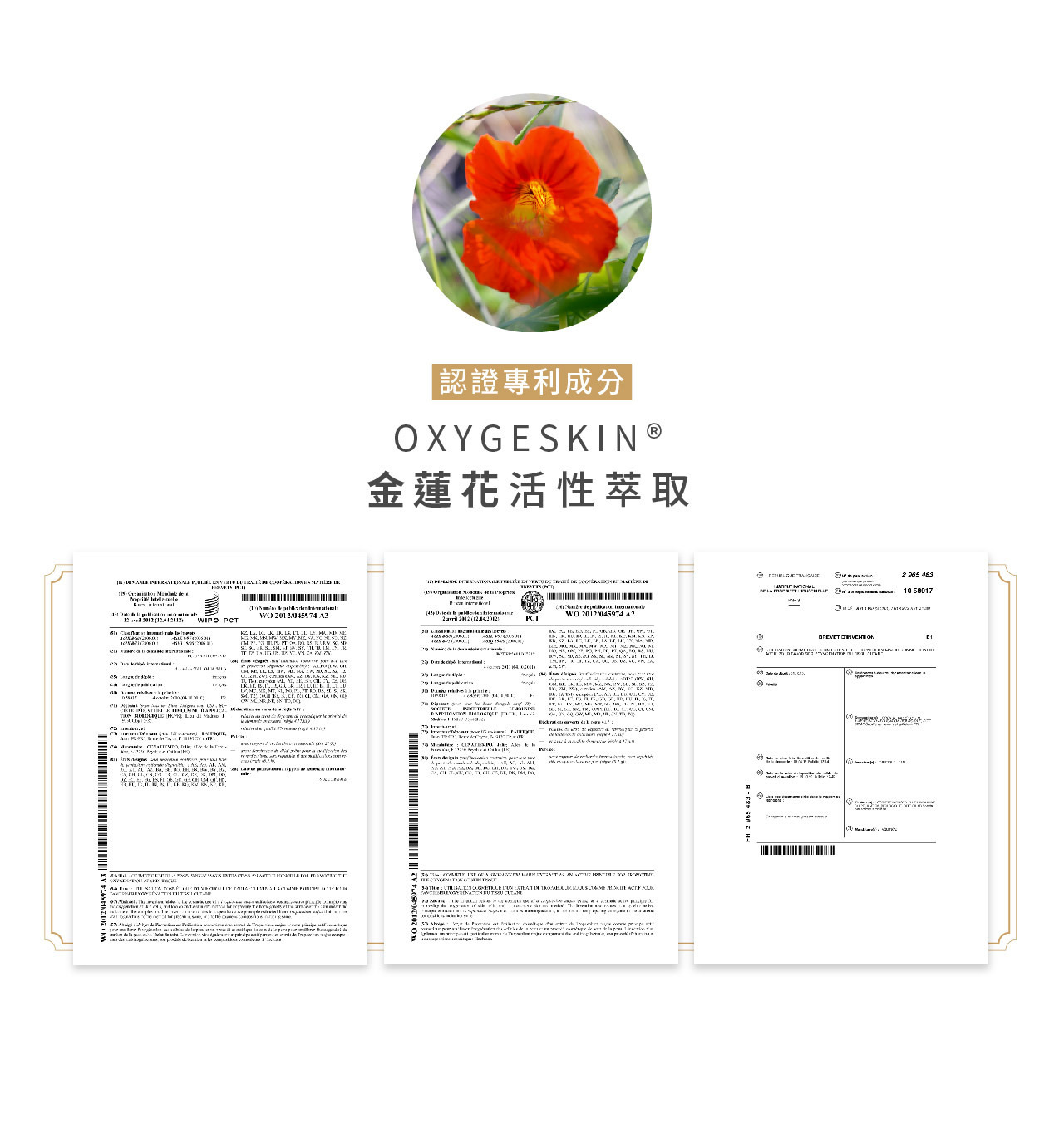 牡丹晚安守護水亮面膜-專利成分：OXYGESKIN® 金蓮花活性萃取