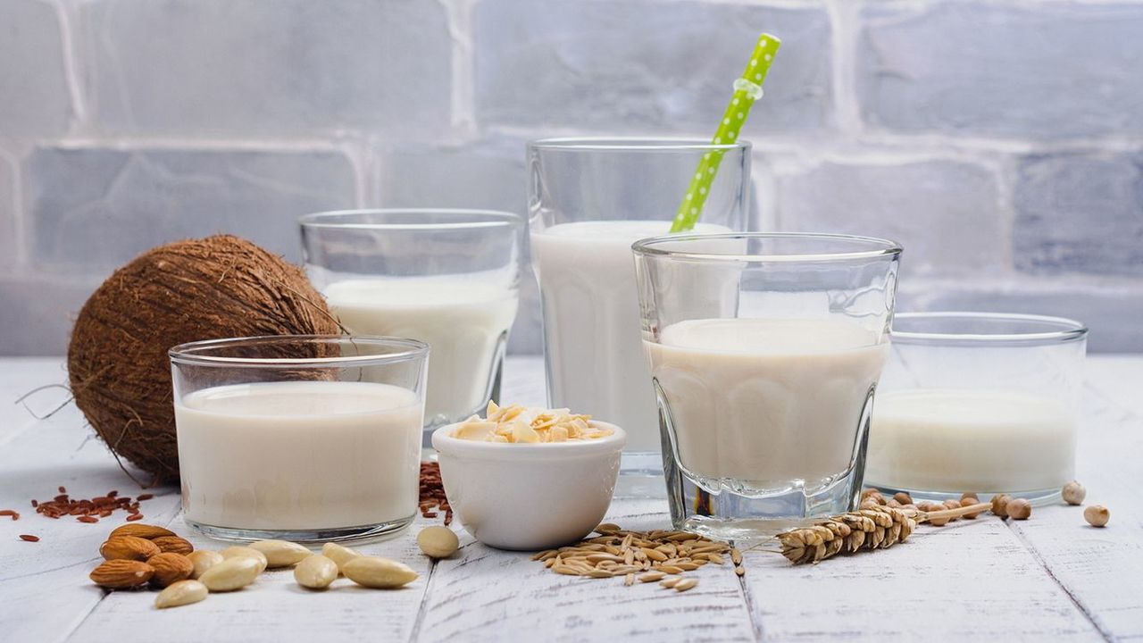 植物奶 Plant-Based Milk