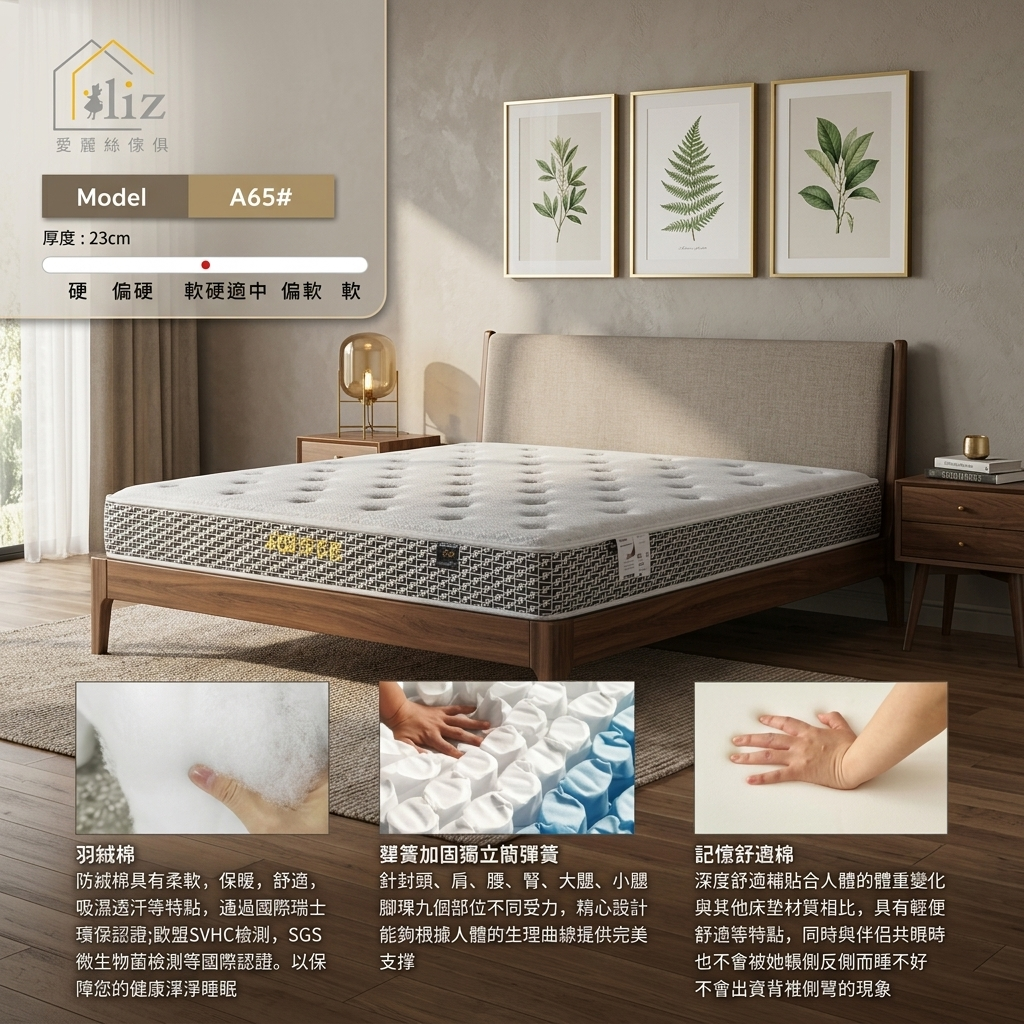 Model A65 全能首選