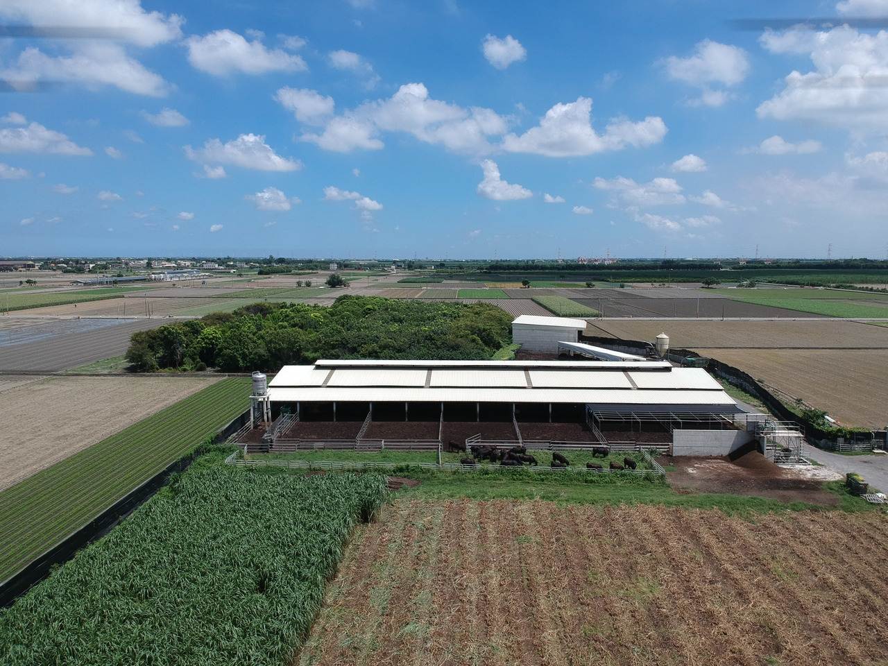 農場晃晃品牌形象