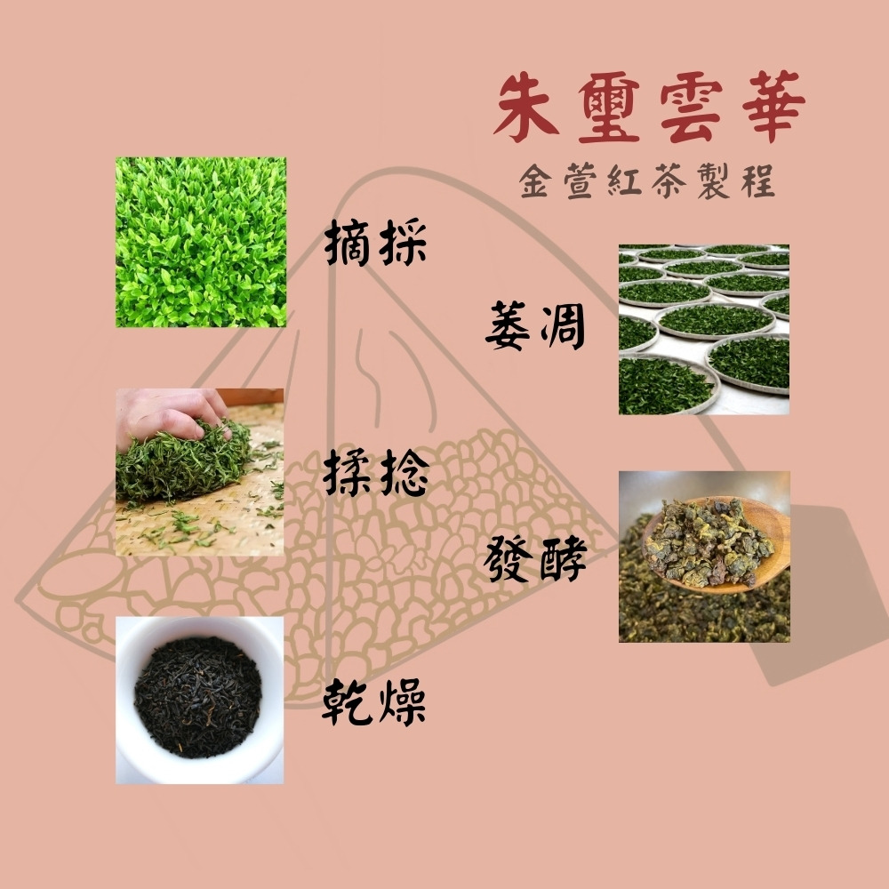 百絡生技朱璽雲華潤喉茶使用的金萱紅茶製程