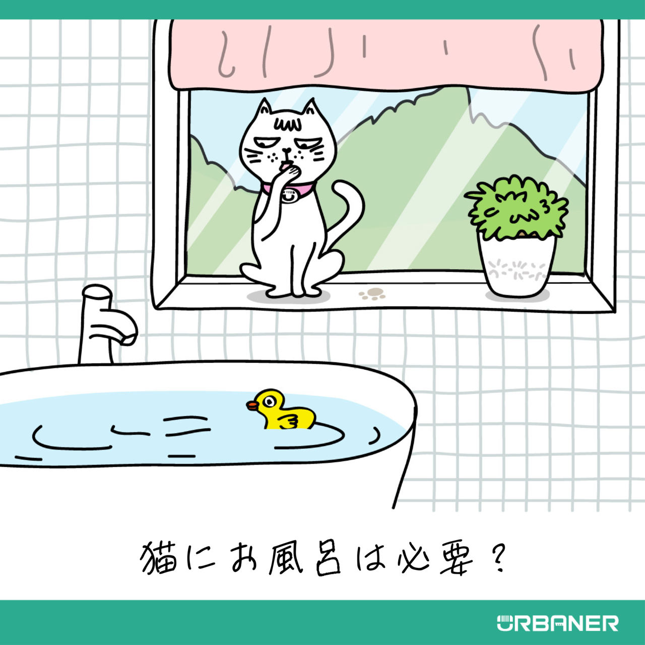 猫にお風呂は必要？