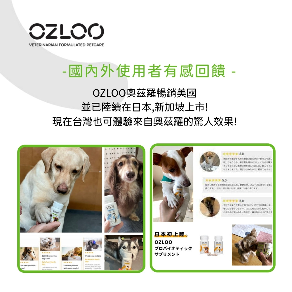 狗狗增強免疫力｜OZLOO奧茲羅多重免疫保護(大型犬) 60顆/瓶 (兩個月份量)｜OZLOO奧茲羅