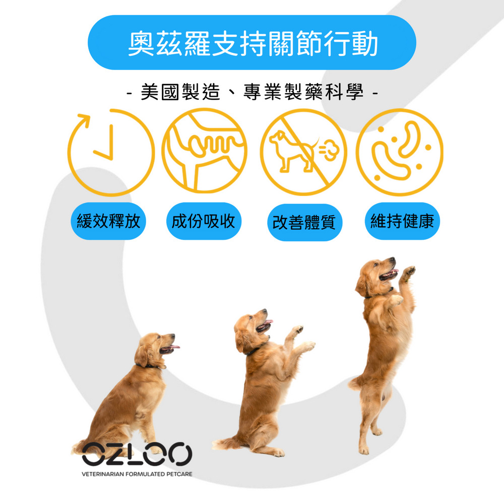 寵物保健品推薦｜OZLOO奧茲羅支持關節行動(中小型犬 ) 30顆/瓶｜OZLOO奧茲羅