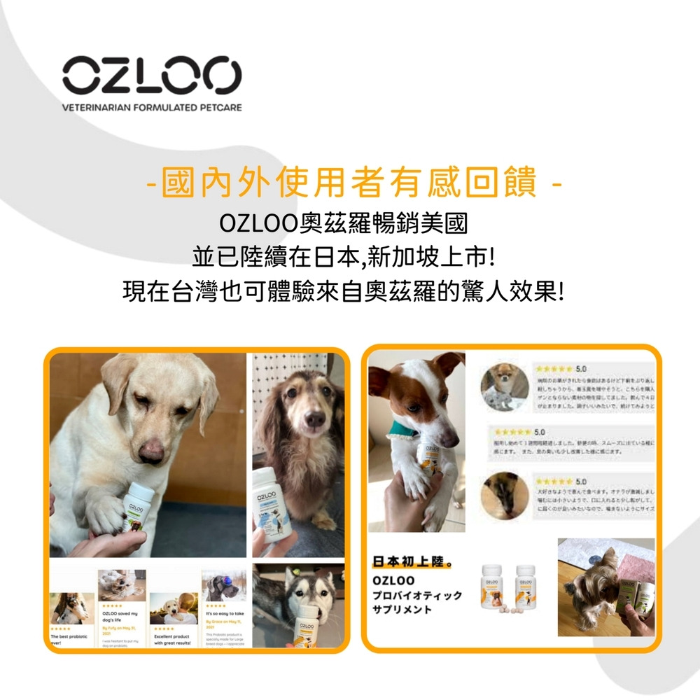 寵物消化道保健｜OZLOO奧茲羅_消化系統保健(中小型犬) 60顆/瓶 (兩個月份量) ｜OZLOO奧茲羅