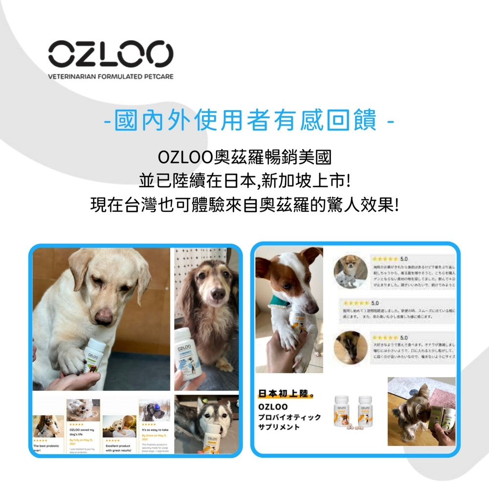 寵物保健品推薦｜OZLOO奧茲羅支持關節行動(中小型犬 ) 30顆/瓶｜OZLOO奧茲羅