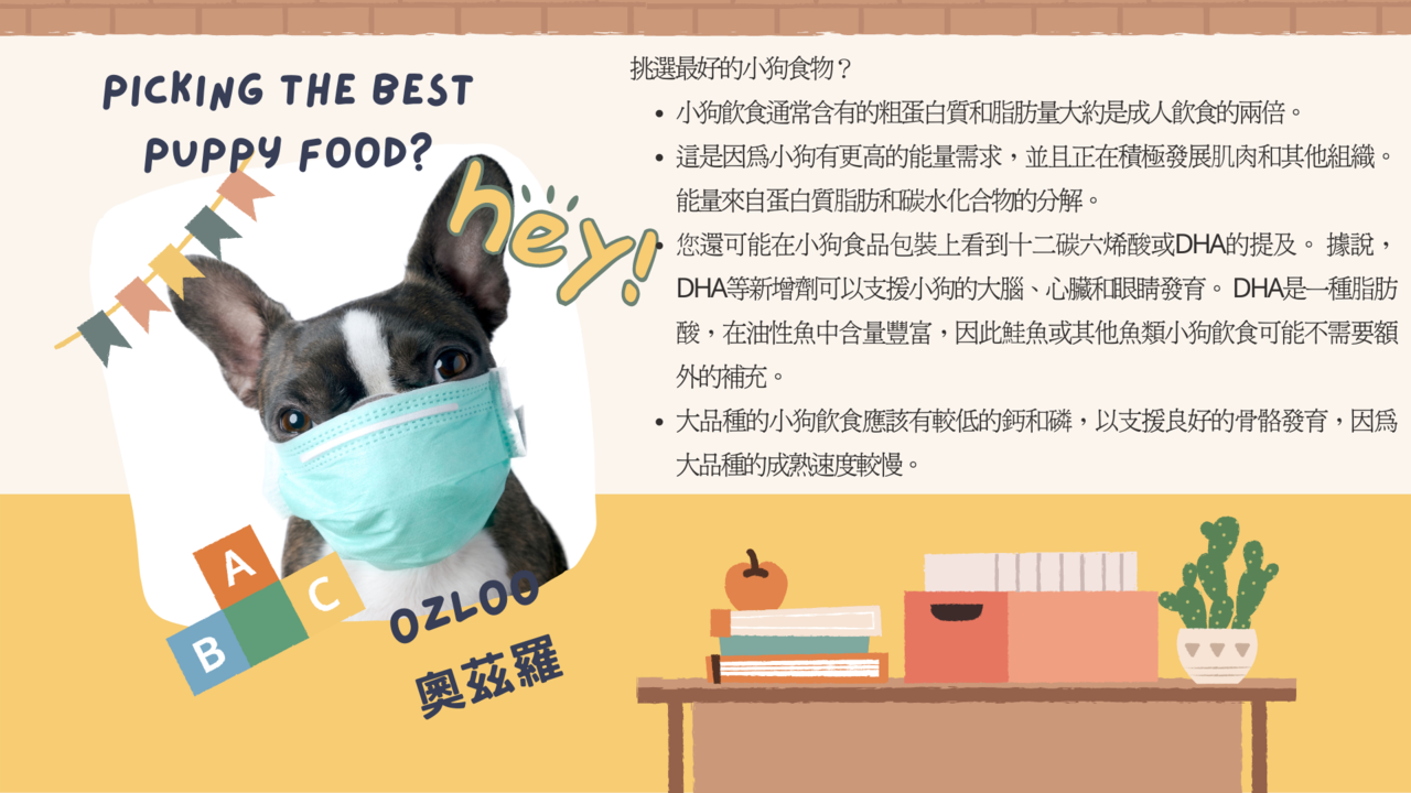 狗狗營養品｜OZLOO 我們的食物｜OZLOO奧茲羅