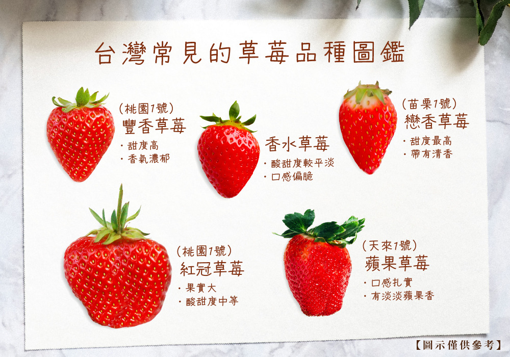 台灣常見的草莓品種圖鑑，豐香草莓、香水草莓、戀香草莓、蘋果草莓、紅冠草莓的特色介紹