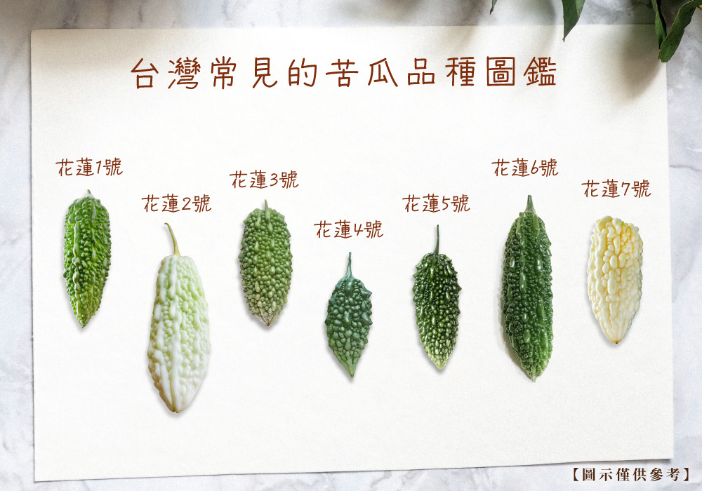 台灣農良場孕育出的花蓮苦瓜1號~7號品種圖鑑